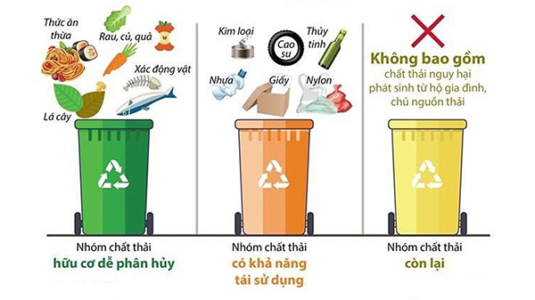 phân loại rác để tái chế