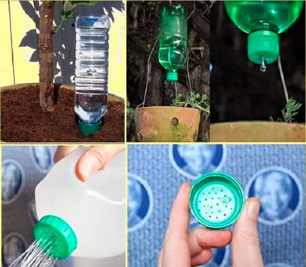 biến chai nhựa thành bình tưới cây